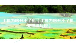 手机为啥开不了机（手机为啥开不了机,充电没反应）