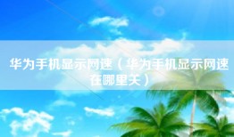 华为手机显示网速（华为手机显示网速在哪里关）