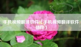 手机视频翻译软件（手机视频翻译软件插件）