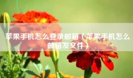 苹果手机怎么登录邮箱（苹果手机怎么邮箱发文件）
