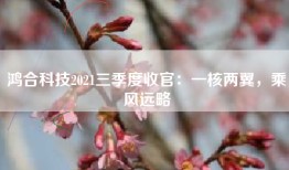 鸿合科技2021三季度收官：一核两翼，乘风远略