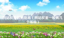 网站权重如何提高（网站权重一般有几个等级）