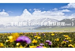 oppo手机越狱（OPPO手机越狱教程root）