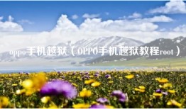 oppo手机越狱（OPPO手机越狱教程root）