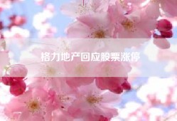 格力地产回应股票涨停