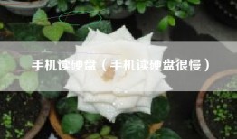 手机读硬盘（手机读硬盘很慢）