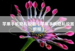苹果手机隐私设置（苹果手机隐私设置教程）