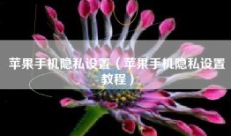 苹果手机隐私设置（苹果手机隐私设置教程）