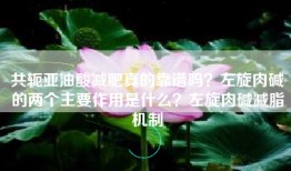 共轭亚油酸减肥真的靠谱吗？左旋肉碱的两个主要作用是什么？左旋肉碱减脂机制