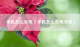手机怎么充电（手机怎么充电才快）