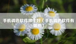 手机调色软件哪个好（手机调色软件有哪些）