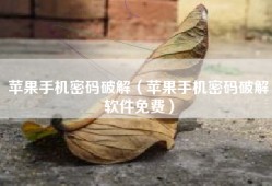 苹果手机密码破解（苹果手机密码破解软件免费）
