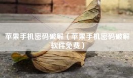 苹果手机密码破解（苹果手机密码破解软件免费）