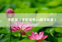 手机尾（手机尾号413数字能量）