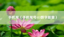 手机尾(手机尾号413数字能量)