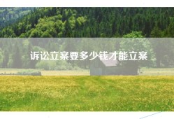 诉讼立案要多少钱才能立案