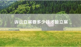 诉讼立案要多少钱才能立案