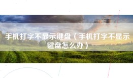 手机打字不显示键盘（手机打字不显示键盘怎么办）