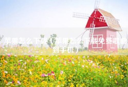 苹果怎么下载（苹果怎么下载免费歌曲到手机）