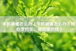 手机被偷怎么办（手机被偷怎么办？担心支付宝、微信里的钱）