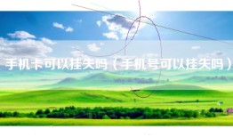 手机卡可以挂失吗（手机号可以挂失吗）