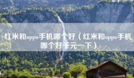 红米和oppo手机哪个好（红米和oppo手机哪个好千元一下）