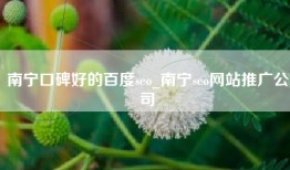 南宁口碑好的百度seo_南宁seo网站推广公司