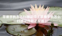 苹果手机怎么扫描证件（苹果手机怎么扫描证件照正反面）
