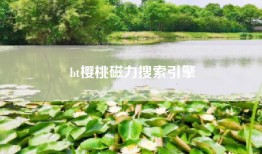 bt樱桃磁力搜索引擎