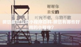 微信最好玩的小程序百科-微信有哪些好用的小程序？