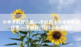 小米手机好还是vivo手机好（小米手机好还是vivo手机好_百科-8S新商盟）