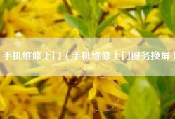 手机维修上门（手机维修上门服务换屏）
