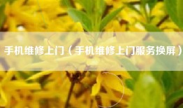 手机维修上门（手机维修上门服务换屏）