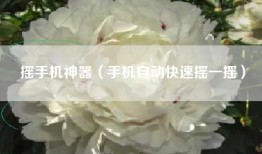 摇手机神器（手机自动快速摇一摇）