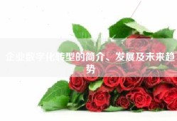企业数字化转型的简介、发展及未来趋势