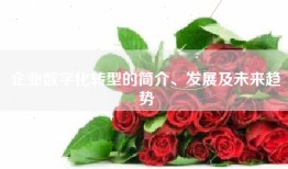 企业数字化转型的简介、发展及未来趋势