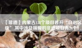 【非遗】内蒙古138个项目晋升“自治区级”,其中涉及锡盟的非遗项目有24个！