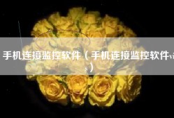 手机连接监控软件（手机连接监控软件vis）