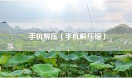 手机解压（手机解压缩）