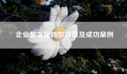 企业数字化转型背景及成功案例