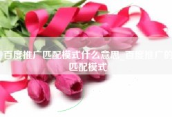 百度推广匹配模式什么意思_百度推广的匹配模式