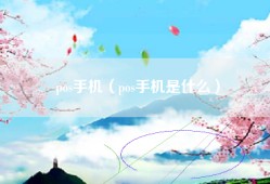 pos手机（pos手机是什么）