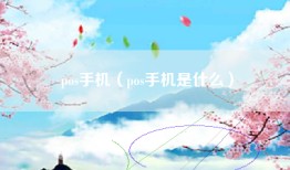 pos手机（pos手机是什么）