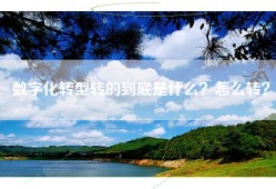 数字化转型转的到底是什么？怎么转？