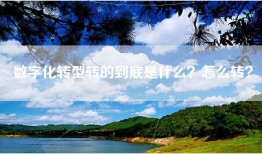 数字化转型转的到底是什么？怎么转？