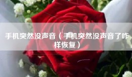 手机突然没声音（手机突然没声音了咋样恢复）