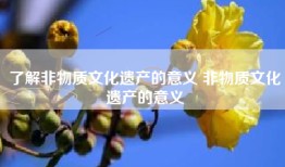 了解非物质文化遗产的意义 非物质文化遗产的意义