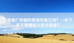 百度推广所需的费用究竟几何？一年下来又需要投入多少资金？