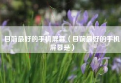 目前最好的手机屏幕（目前最好的手机屏幕是）