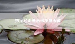 数字经济是未来发展关键